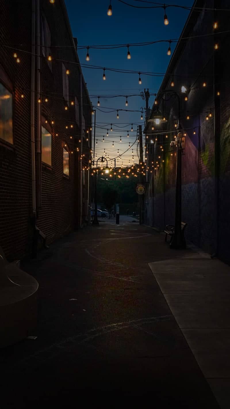 Miamisburg Art Alley - Image 1