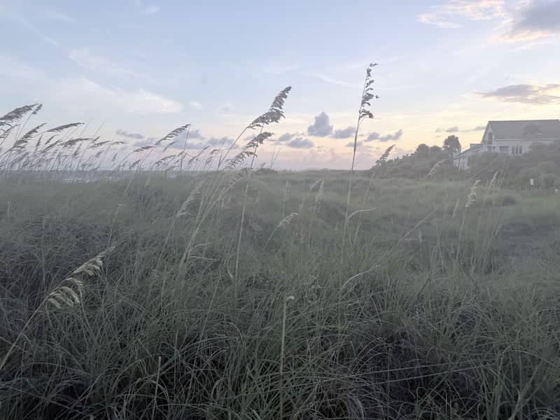 Shipyard Beach Dunes - Image 1