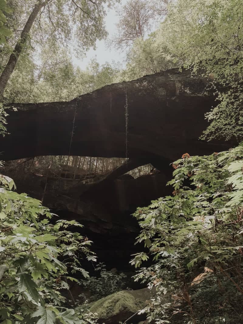 Natural Bridge Park - Image 1