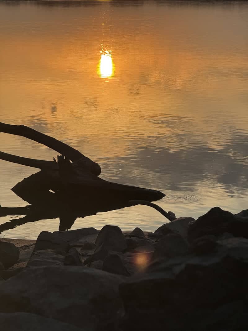 Mississippi Riverbank at Finley - Image 1