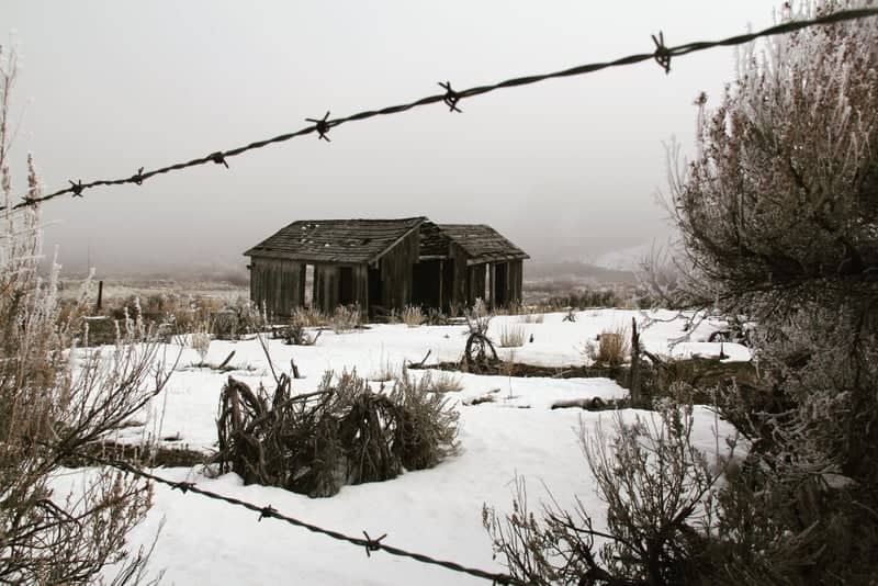 Livermore Valley Abandoned Ranch - Image 1
