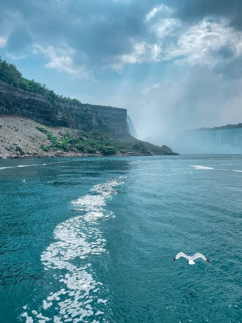 Niagara Falls - Image 1