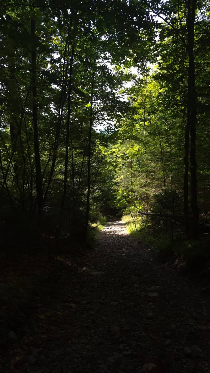 Eschenlohe Forest Trail - Image 1