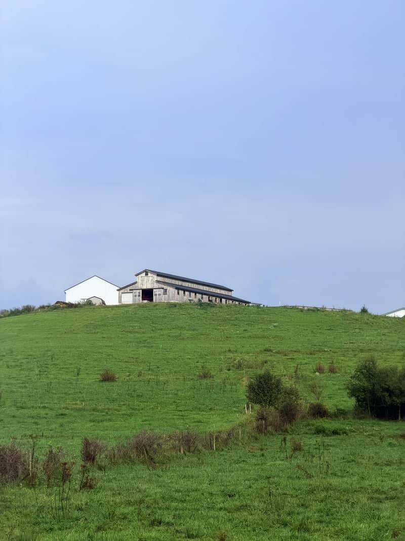 Butler Farm Pasture - Image 3
