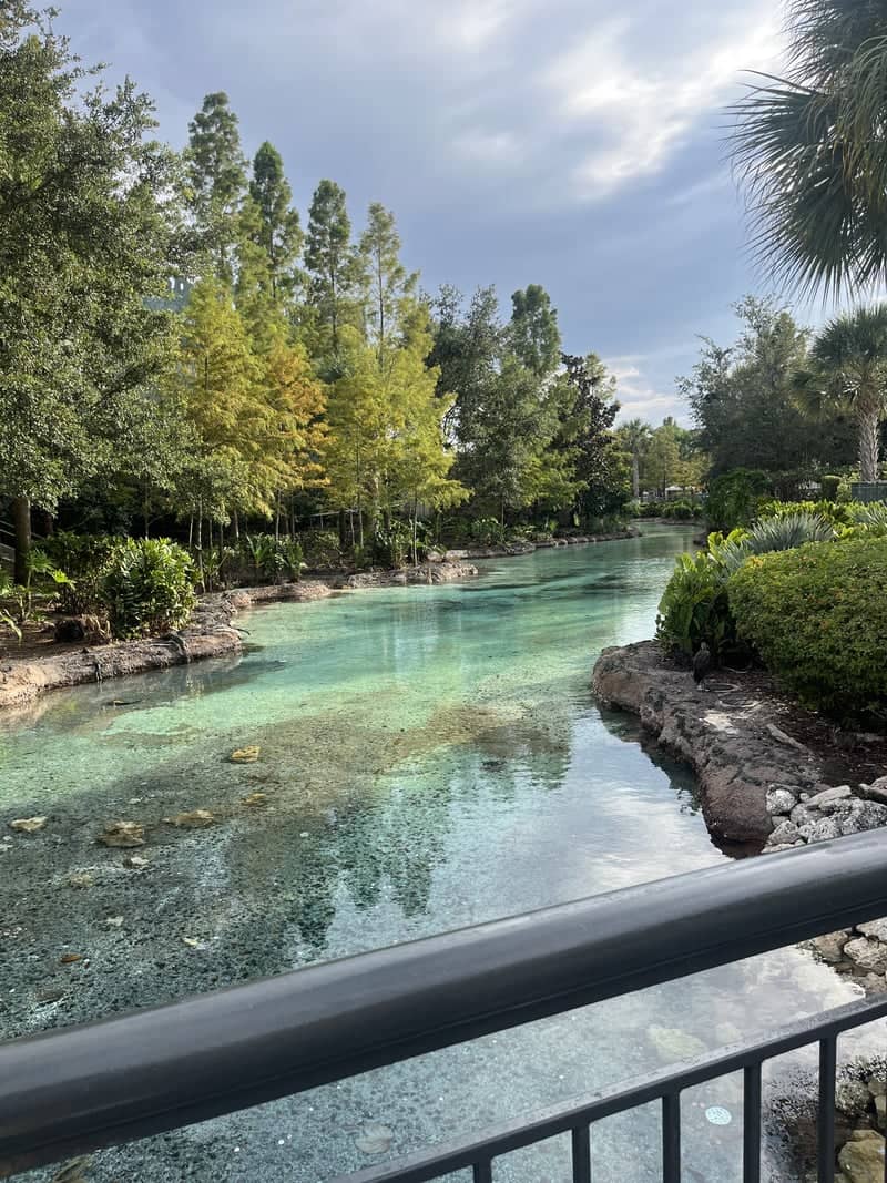 Disney Springs - The Springs - Image 1