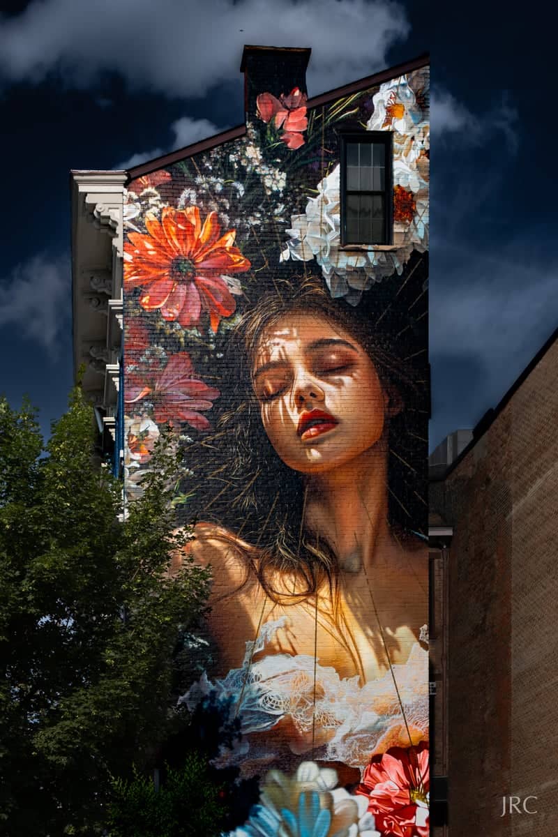 "The Golden Hour" Mural - Image 1