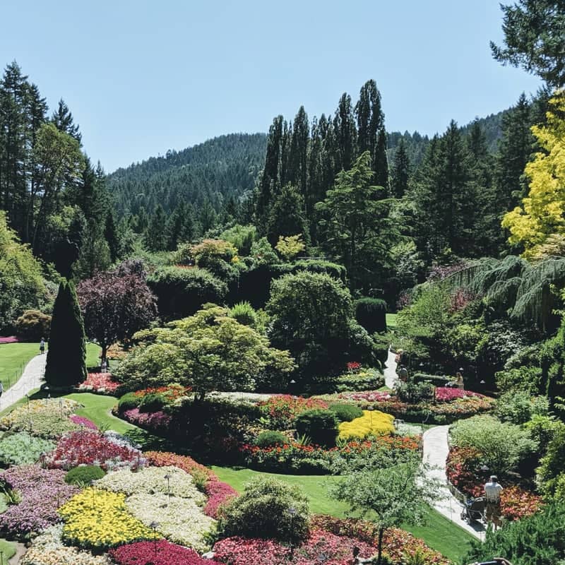 The Butchart Gardens - Image 1